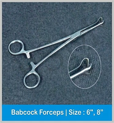 Babcock Forcep 6,8 inch